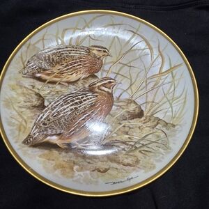 Gamebirds Common Quail Franklin Porcelain By Haviland Limoges 9" Plate